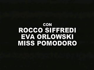 arrivederci cavaliere II )dWh(